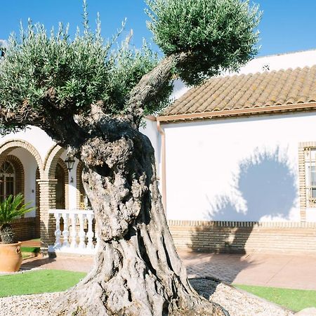 Casa Luxury "El Olivo De Cordoba" Con Jacuzzi Y Parking Privado Guest House Eksteriør bilde
