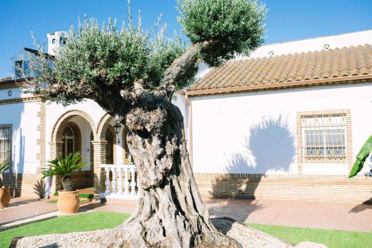 Casa Luxury "El Olivo De Cordoba" Con Jacuzzi Y Parking Privado Guest House Eksteriør bilde