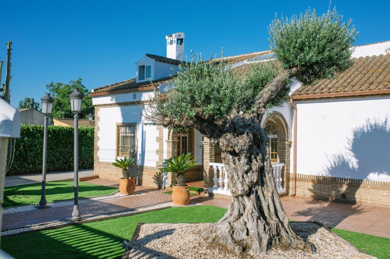 Casa Luxury "El Olivo De Cordoba" Con Jacuzzi Y Parking Privado Guest House Eksteriør bilde